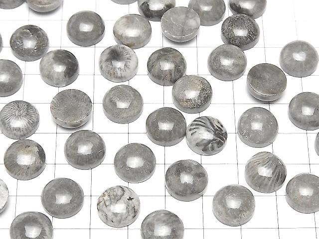 Marokkanischer schwarzer fossiler Korallenrund Cabochon 12x12mm 2 Stück