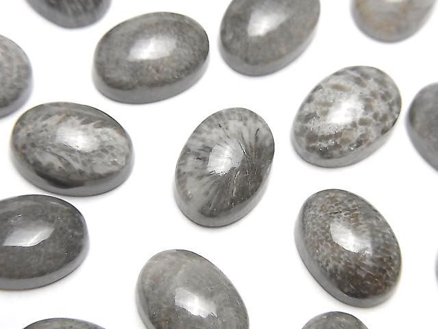Marokkanischer schwarzer fossiler Korallenoval Cabochon 14x10mm 2 Stück
