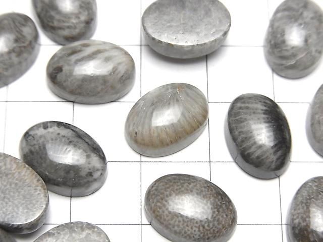 Marokkanischer schwarzer fossiler Korallenoval Cabochon 14x10mm 2 Stück