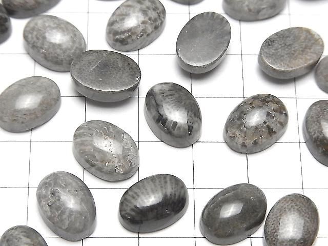 Marokkanischer schwarzer fossiler Korallenoval Cabochon 14x10mm 2 Stück