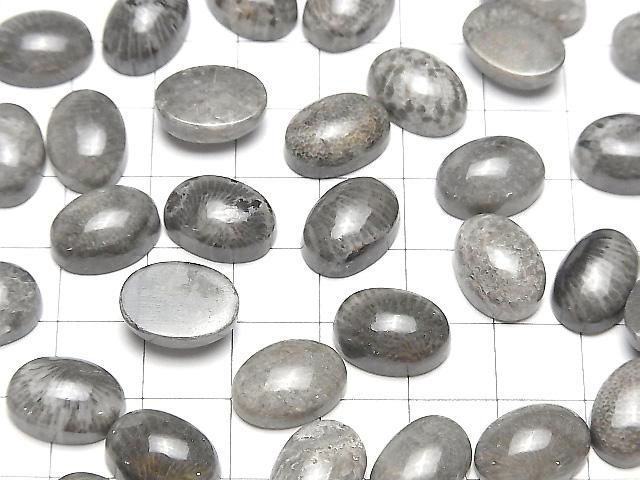Marokkanischer schwarzer fossiler Korallenoval Cabochon 14x10mm 2 Stück