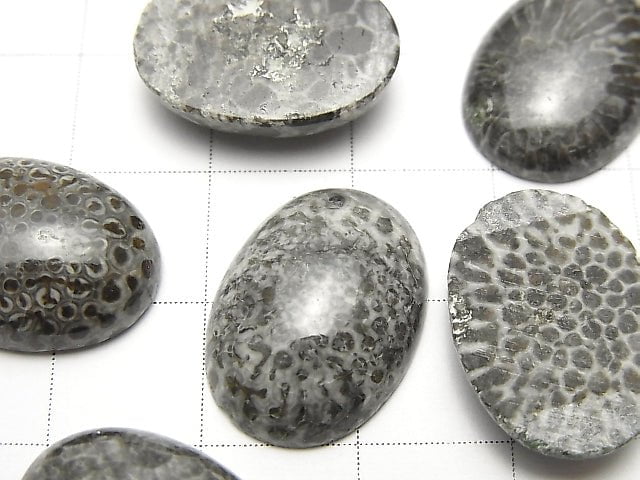 Marokkanischer schwarzer fossiler Korallenoval Cabochon 18x13mm 2 Stück $8.79!
