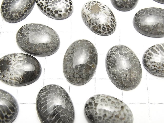 Marokkanischer schwarzer fossiler Korallenoval Cabochon 18x13mm 2 Stück $8.79!