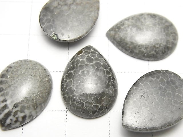 Marokkanischer schwarzer fossiler Korallen-Tropfenform Cabochon 18x13mm 2 Stück $8.79!
