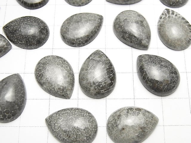 Marokkanischer schwarzer fossiler Korallen-Tropfenform Cabochon 18x13mm 2 Stück $8.79!