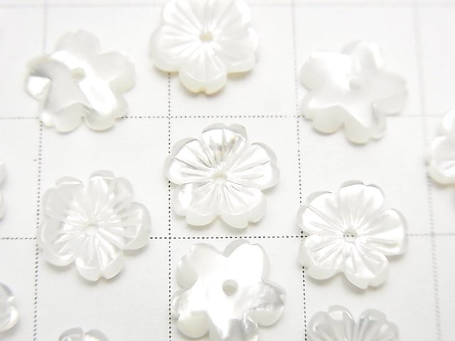 Hochwertige weiße Muschel AAA Blume 8mm Mittelbohrung 4 Stück