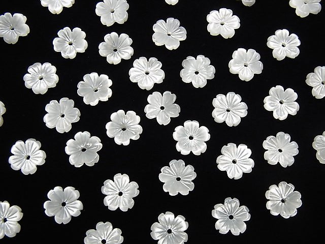 Hochwertige weiße Muschel AAA Blume 8mm Mittelbohrung 4 Stück