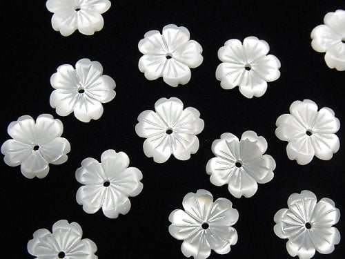 Hochwertige weiße Muschel AAA Blume 10mm Mittelbohrung 3 Stück
