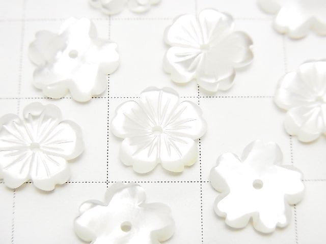 Hochwertige weiße Muschel AAA Blume 10mm Mittelbohrung 3 Stück