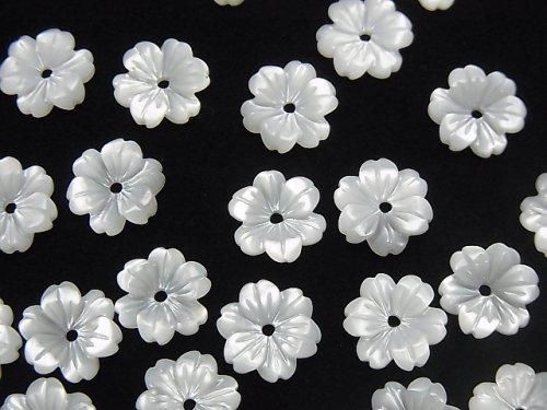 Hochwertige weiße Muschel AAA Blume 8mm Mittelbohrung 4 Stück