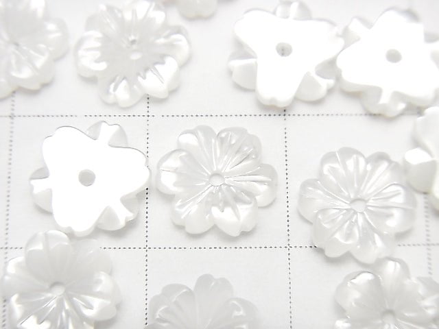 Hochwertige weiße Muschel AAA Blume 8mm Mittelbohrung 4 Stück