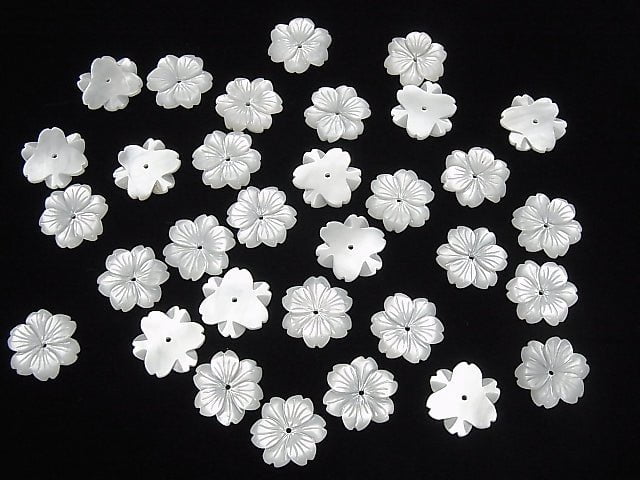 Hochwertige weiße Muschel AAA Blume 15mm Zentrum Loch 2 Stück