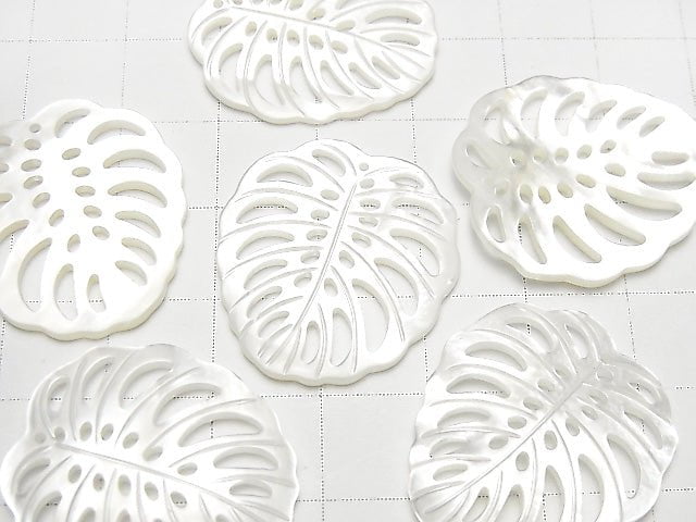 Hochwertiges weißes Muschel Wasserzeichen Blatt 25x23mm 1 Stück