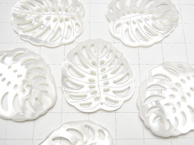 Hochwertiges weißes Muschel Wasserzeichen Blatt 30x27mm 1 Stück