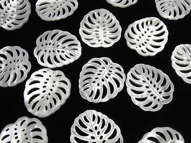 Hochwertiges weißes Muschel Wasserzeichen Blatt 30x27mm 1 Stück