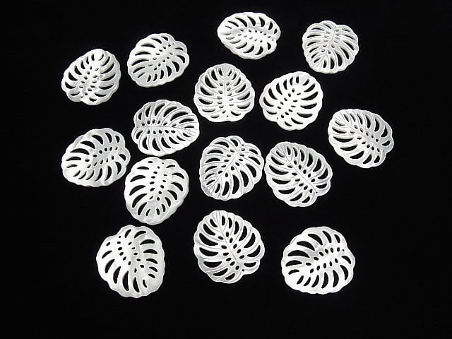 Hochwertiges weißes Muschel Wasserzeichen Blatt 30x27mm 1 Stück