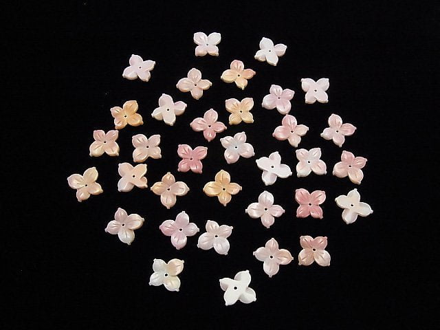 Königin Conch Muschel AAA- Blüte 16mm Mittelbohrung 2 Stück