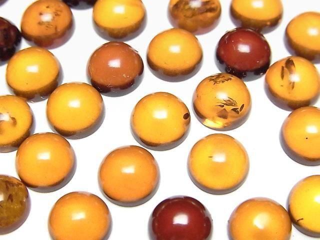 波羅的海圓形蛋面琥珀 8x8mm 3顆