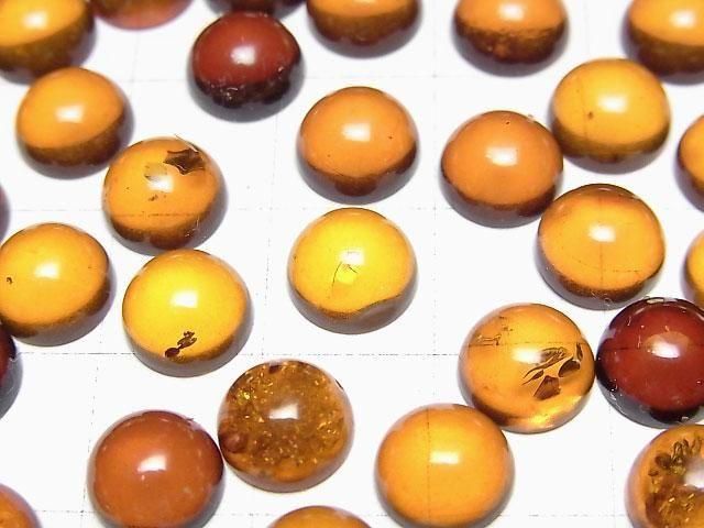 波羅的海圓形蛋面琥珀 8x8mm 3顆