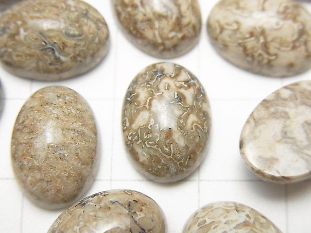 摩洛哥恐龍骨化石橢圓形凸圓面 14x10mm 4顆