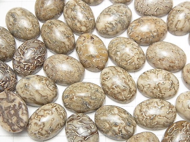 Marokko Dinosaurierknochen Fossil Oval Cabochon 14x10mm 4Stk