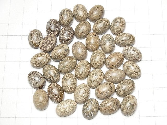 Marokko Dinosaurierknochen Fossil Oval Cabochon 14x10mm 4Stk