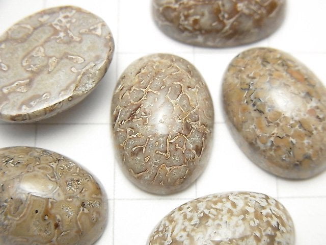 摩洛哥恐龍骨化石橢圓形蛋面 18x13mm 2顆