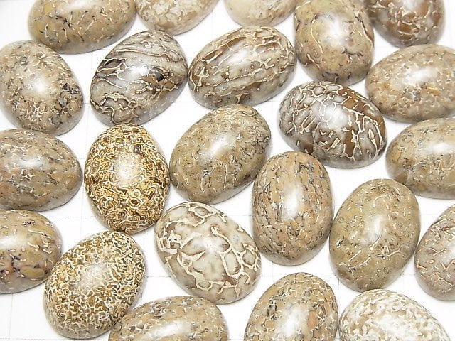 Marokko Dinosaurierknochen Fossil Oval Cabochon 18x13mm 2Stk