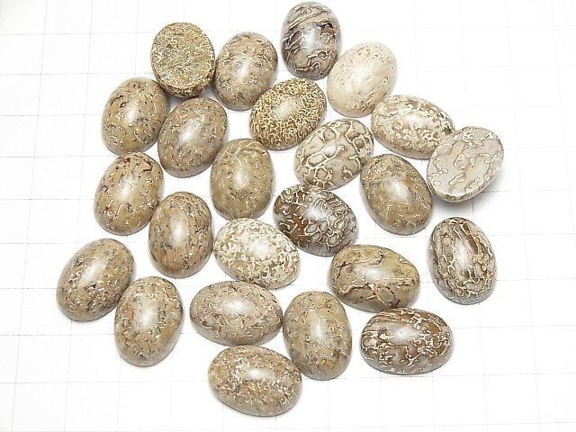 Marokko Dinosaurierknochen Fossil Oval Cabochon 18x13mm 2Stk