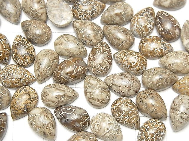 Marokkanischer Dinosaurierknochenfossil Birnenform Cabochon 12x8mm 5 Stück