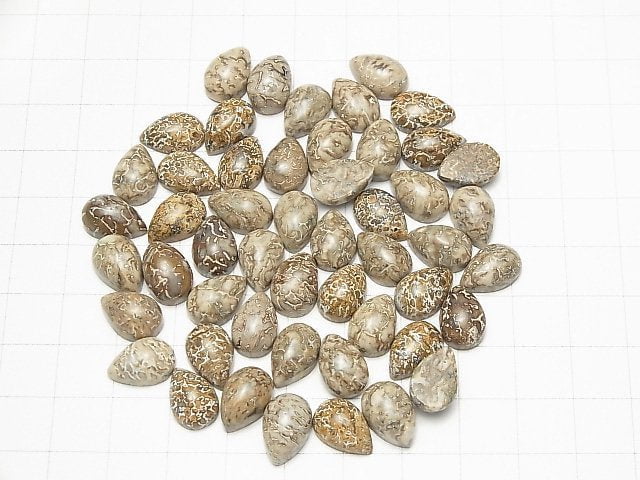 Marokkanischer Dinosaurierknochenfossil Birnenform Cabochon 12x8mm 5 Stück