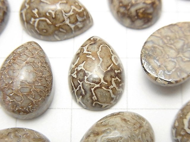 摩洛哥恐龍骨化石梨形蛋面 14x10mm 4顆