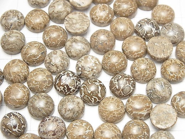 Marokko Dinosaurierknochen Fossil Runde Cabochon 10x10mm 5 Stück