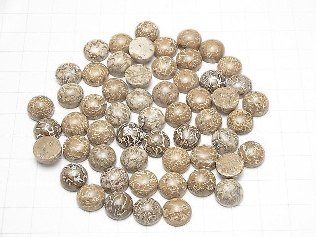 Marokko Dinosaurierknochen Fossil Runde Cabochon 10x10mm 5 Stück