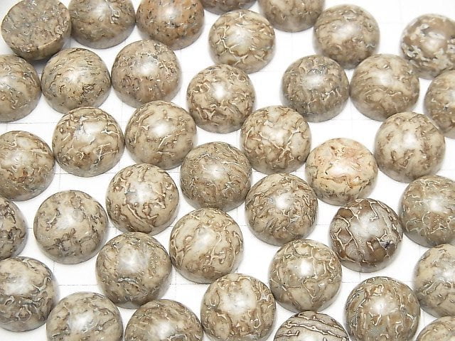 Marokko Dinosaurierknochen Fossil Runde Cabochon 12x12mm 4 Stück