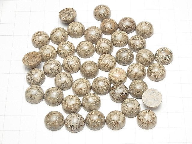 Marokko Dinosaurierknochen Fossil Runde Cabochon 12x12mm 4 Stück