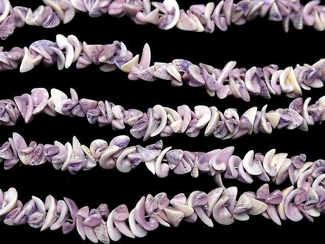 Cebu Beauty Shell Chips 1strang Perlen (ca. 15 Zoll / 37 cm)