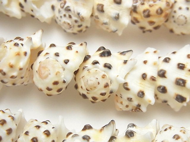 Mother of Pearl (Shell Beads), Other Shape Pearl & Shell Beads