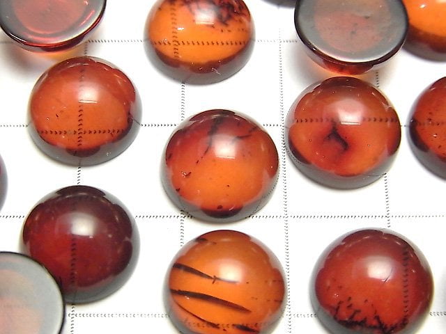 波羅的海圓形凸面琥珀 12x12mm 2顆