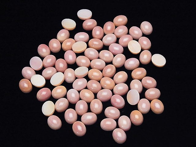 Queen Conch Shell AAA Oval Cabochon 10x8mm 1pc