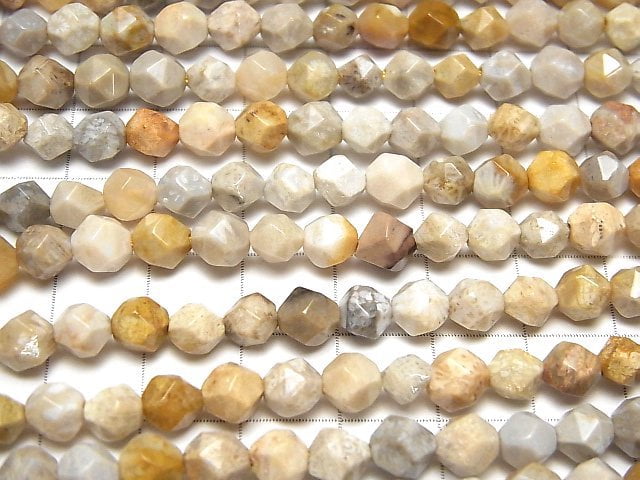 Fossil Coral 24Faceted Round 6mm 1strand beads (aprx.15inch/36cm)