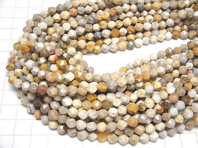 Fossil Coral 24Faceted Round 6mm 1strand beads (aprx.15inch/36cm)