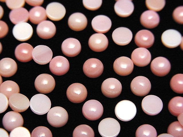 女王鳳凰螺殼 AAA 圓形凸圓形 4x4mm 4顆