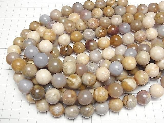 Fossilkoralle Runde 16mm halb oder 1 Strang Perlen (ca. 15 Zoll/36 cm)