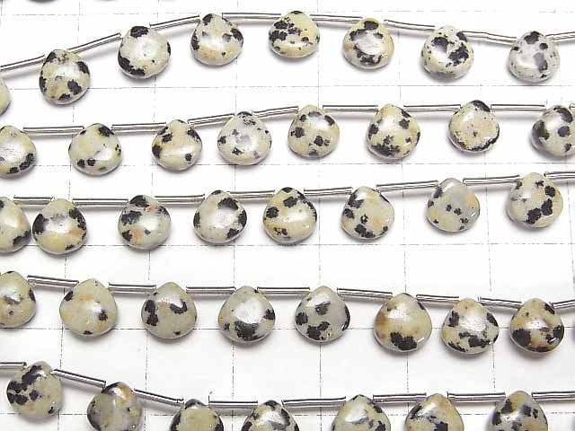 Dalmatiner-Jaspis Kastanie (glatt) 6x6mm 1Strang Perlen (18Stücke)