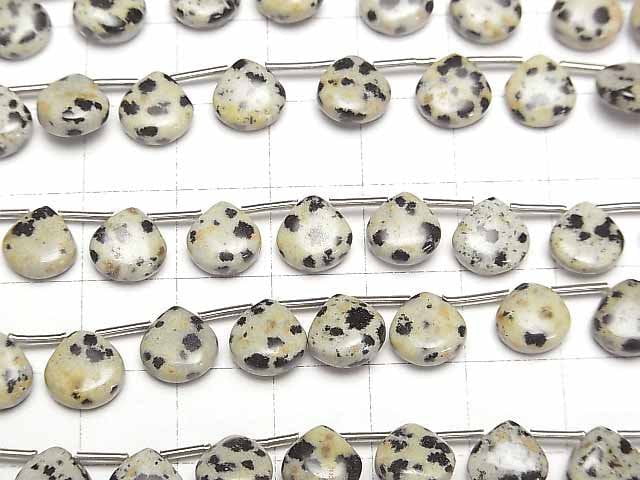 Dalmatiner-Jaspis Kastanie (Glatt) 8x8mm 1Strang Perlen (18Stücke)