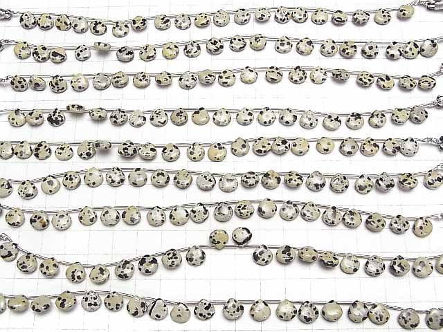 Dalmatiner-Jaspis Kastanie (Glatt) 8x8mm 1Strang Perlen (18Stücke)