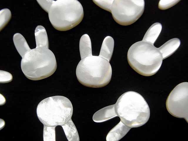 Mother of Pearl (Shell Beads), Other Shape Pearl & Shell Beads