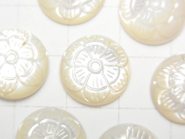 高品質白色貝殼雕刻圓形凸圓面 14x14mm 1顆