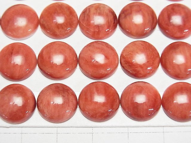 多刺牡蠣殼圓形素面蛋面寶石 12x12x4.5公釐 1顆